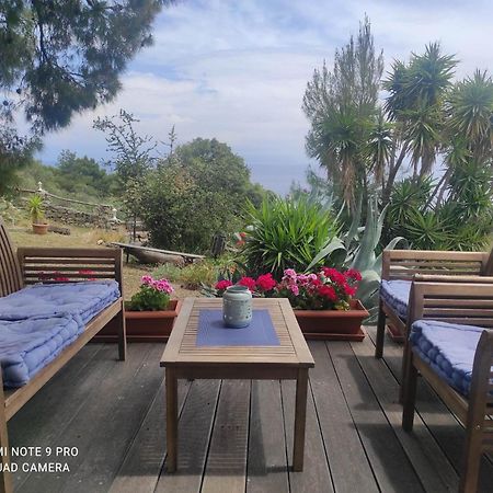 Villa Athos Σάρτη Εξωτερικό φωτογραφία