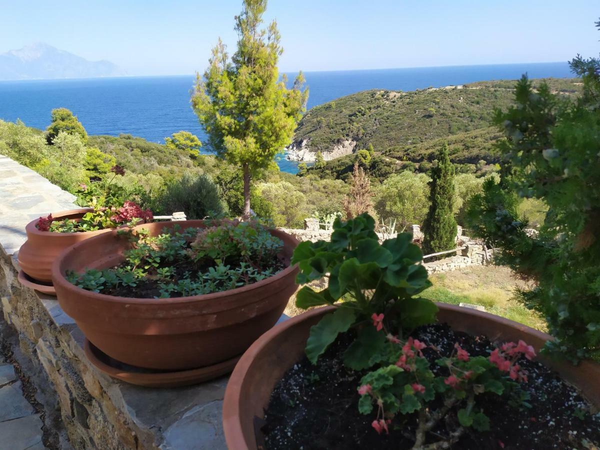 Villa Athos Σάρτη Εξωτερικό φωτογραφία
